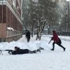 Зарница